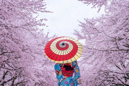 Travel